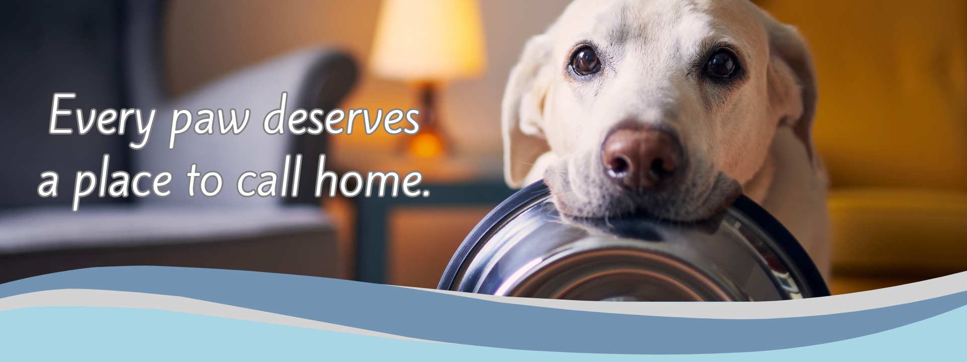 Adopt Banner Adopt Banner