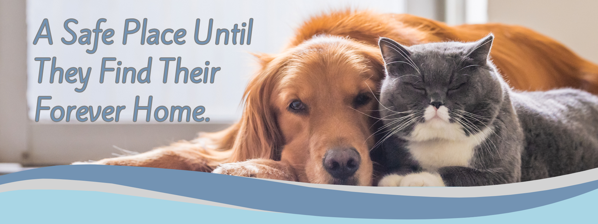 Forever Home Banner Forever Home Banner