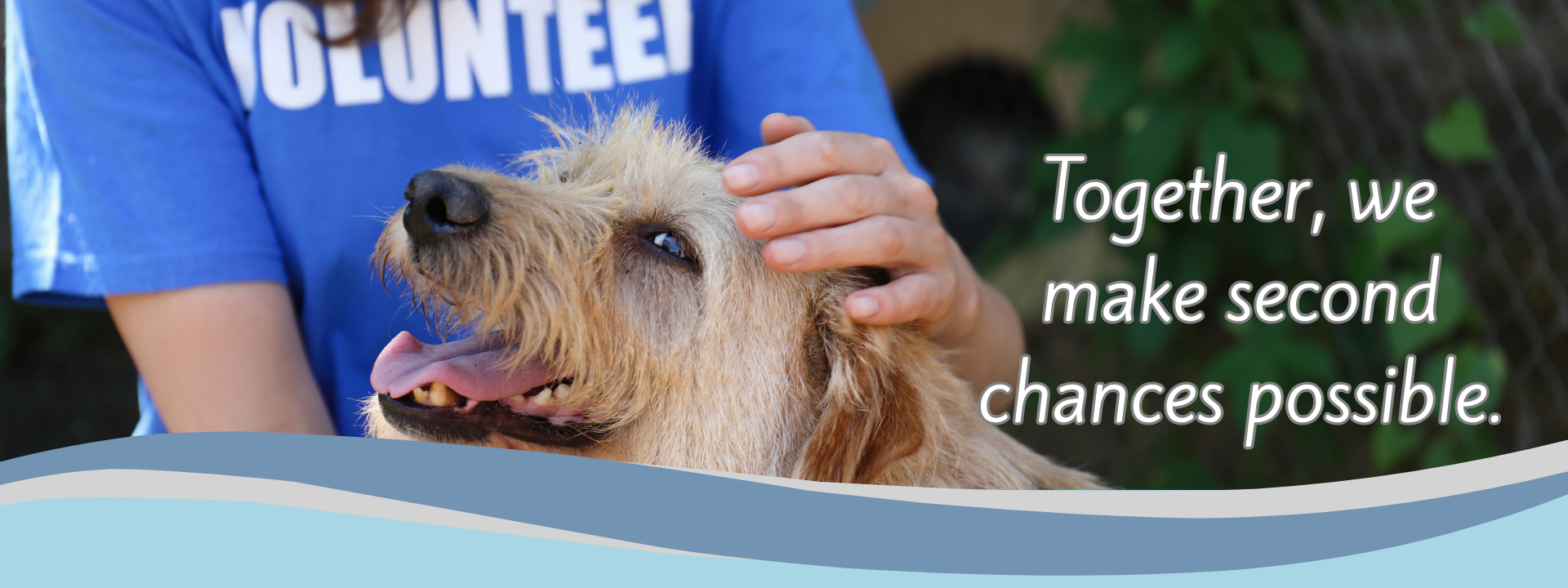 Help Banner Help Banner